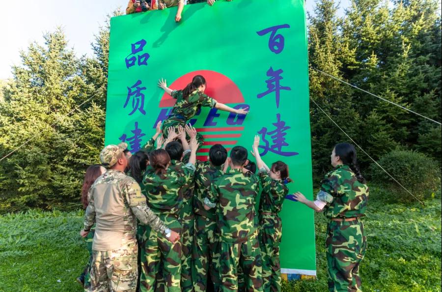 1604281556113048.jpg 26.jpg