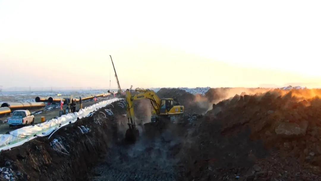 1615771150299070.jpg 6.jpg