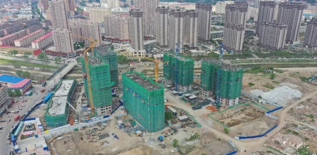 1626224432135502.jpg 3.jpg