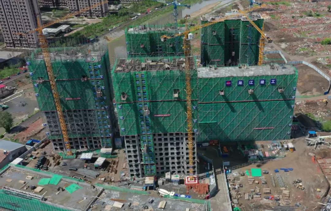 1642741885768633.jpg 36.jpg